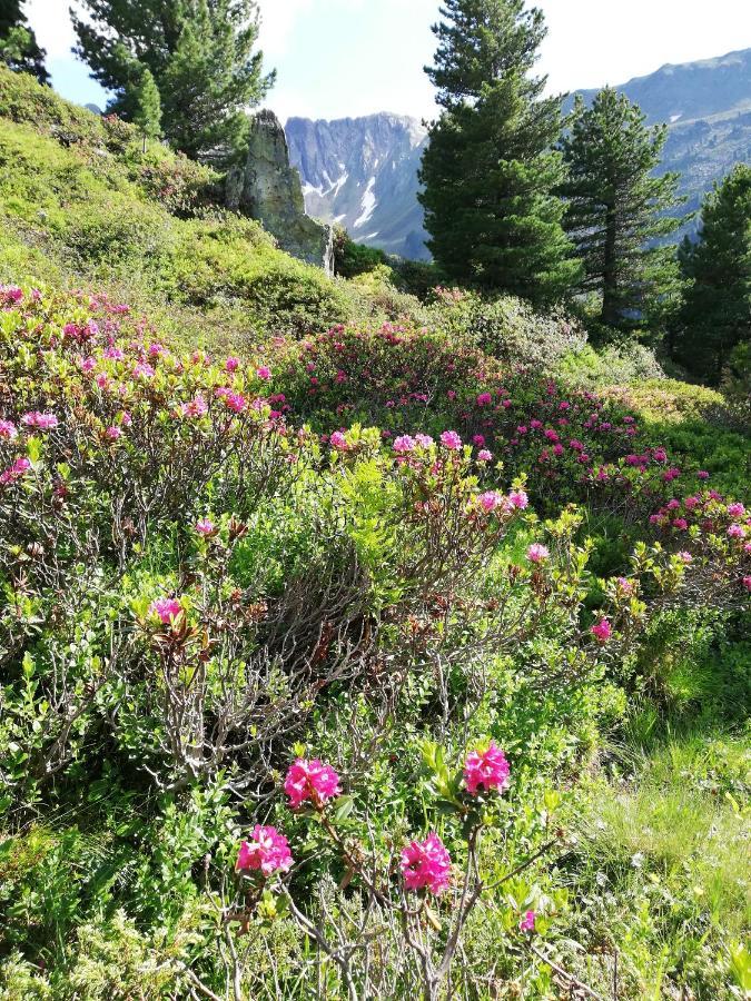 Apart Waldesruh Arzl im Pitztal Kültér fotó