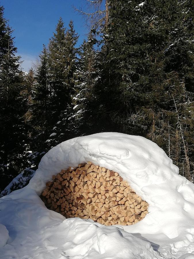 Apart Waldesruh Arzl im Pitztal Kültér fotó