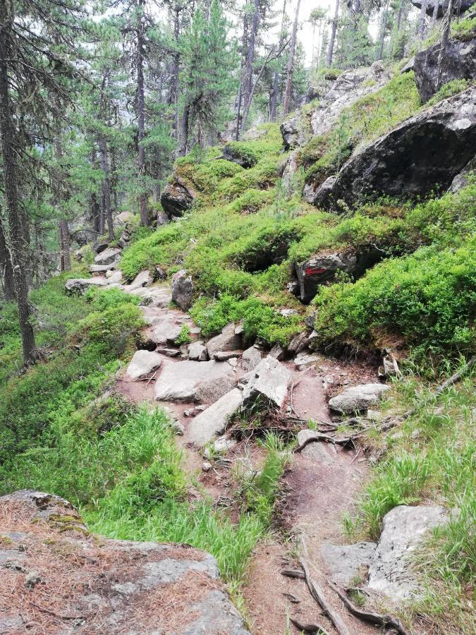 Apart Waldesruh Arzl im Pitztal Kültér fotó