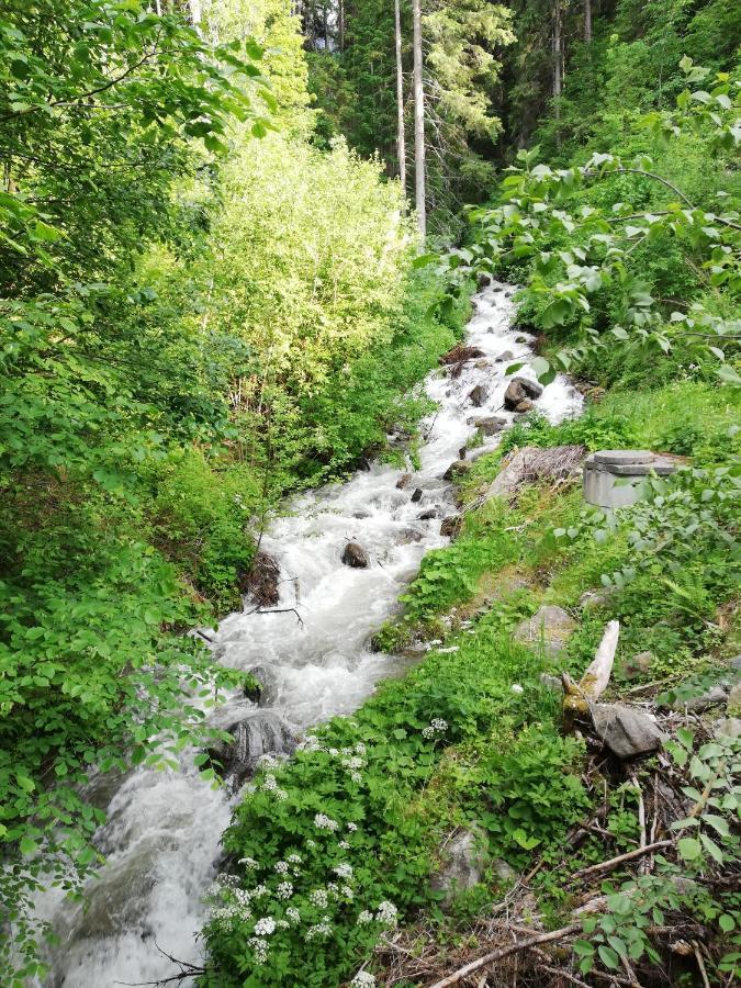 Apart Waldesruh Arzl im Pitztal Kültér fotó